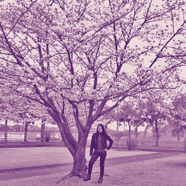 Ella Anchor under a cherry blossom tree in Japan